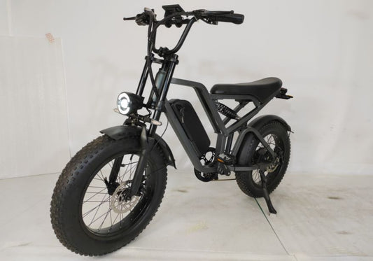 KNK E6 750w electric bike